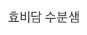 효비담 수분샘