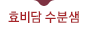 효비담 수분샘
