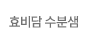 효비담 수분샘